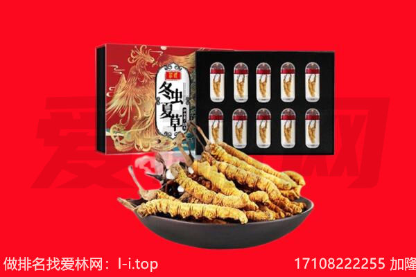 东莞市横沥镇回收虫草.jpg